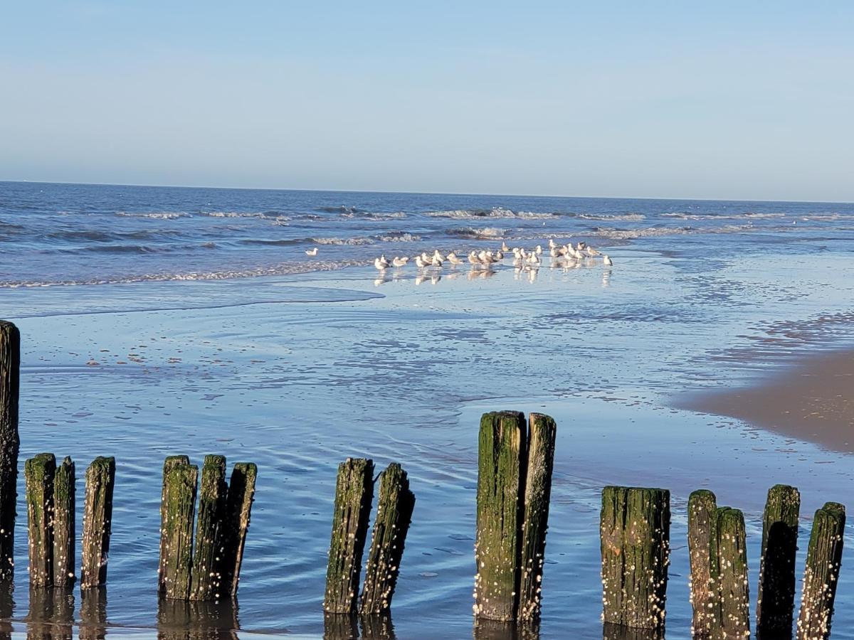 Pension Canberra Bergen aan Zee Dış mekan fotoğraf